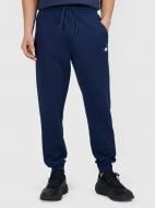 Брюки 4F TROUSERS CAS M1676 4FWMM00TTROM1676-31S р. L синий Брюки 4F TROUSERS CAS M1676 4FWMM00TTROM1676-31S р. L синий