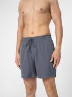 Шорты 4F 4FSS23UBDSM022-22S р. L серый Шорты 4F 4FSS23UBDSM022-22S р. L серый