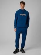 Штани 4F Trousers Cas M1442 4FWSS26TTROM1442-46S р. L синій
