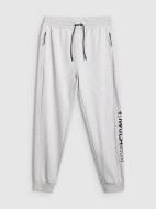 Брюки 4F TROUSERS CAS M1674 4FWMM00TTROM1674-27M р. L серый Брюки 4F TROUSERS CAS M1674 4FWMM00TTROM1674-27M р. L серый