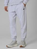 Брюки 4F TROUSERS CAS M1676 4FWMM00TTROM1676-27M р. L серый