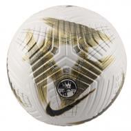 Футбольний м'яч Nike PREMIER LEAGUE CLUB ELITE FQ4967-106 р.5