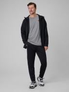 Брюки 4F 4FWSS26TFTRM1057-20S р. L черный