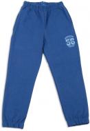 Штани для хлопчиків Фламінго р.110 синій 888-325