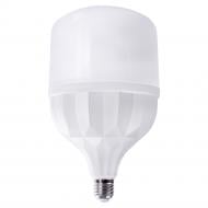 Лампа світлодіодна Violux SPARK 20 Вт E27 165 В 6500 К 910102 Лампа світлодіодна Violux SPARK 20 Вт E27 165 В 6500 К 910102