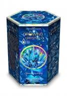 Игровой набор Danko Toys для проведения опытов GROWING CRYSTAL укр. (8) в ассортименте