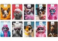 Блокнот Optima А7 спираль 80 лист. клетка MX26310