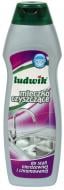 Молочко Ludwik для чистки нержавеющей и хромированной стали 300 г