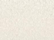 Шпалери вінілові на флізеліновій основі Слов'янські шпалери Le Grand platinum Валенсія 2 8695-01 1,06x10,05 м