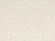 Шпалери вінілові на флізеліновій основі Слов'янські шпалери Le Grand platinum Валенсія 2 8695-05 1,06x10,05 м