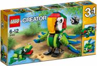 Конструктор LEGO Creator Животные джунглей 31031