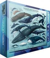Пазл Eurographics Киты и дельфины 6000-0082