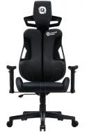Кресло игровое Canyon Morphos ABCH01 (CNS-ABCH01BW) черный