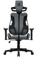 Кресло игровое Canyon Morphos ABCH01 (CNS-ABCH01GYB) серо-черный
