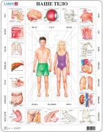 Пазл Larsen Наше тело макси-серия OB1