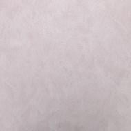 Обои виниловые на флизелиновой основе ASSORTI 962AS36 1,06x10,05 м