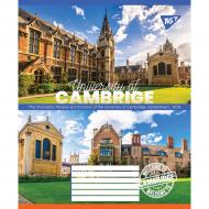 Тетрадь школьная А5/48 линия University YES