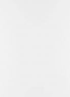 Фасад для кухни Грейд белый глянец 355x896 Альфа