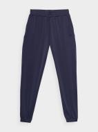 Брюки 4F TROUSERS CAS F526 4FSS23TTROF526-30S р. M фиолетовый