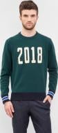 Джемпер Tommy Hilfiger SCOTT C-NK CF MW0MW02928-373 р. 2XL зелений