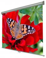 Экран Walfix настенный ручной 120" SNM-4