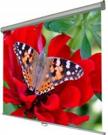 Экран Walfix настенный ручной 150" SNM-5