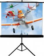 Экран Walfix мобильный с треногой 100" SNT-3