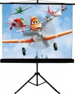 Экран Walfix мобильный с треногой 120" SNT-4