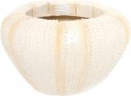 Кашпо декоративное Engard Раковина круглый 4,6 л бежевый (MG-91)