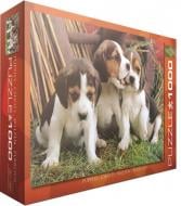 Пазл Eurographics Щенки 6000-4054