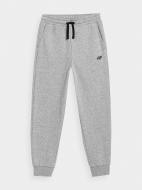 Брюки 4F TROUSERS CAS M266 4FJMM00TTROM266-27M р. 146 серый