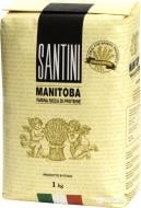 Мука пшеничная Molino Pasini Маннитоба тип 00 1 кг