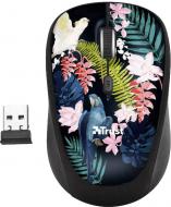 Мышь Trust Yvi Parrot 23387 (23387)