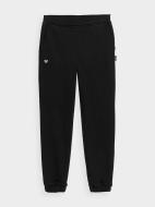 Брюки 4F TROUSERS CAS F544 4FJSS23TTROF544-20S р. 122 черный