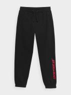 Брюки 4F TROUSERS CAS M534 4FJSS23TTROM534-20S р. 134 черный