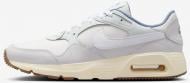 Кроссовки мужские демисезонные Nike Air Max SC IB4471-030 р.41 бело-серые
