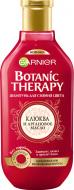 Шампунь Garnier Botanic Therapy Клюква и аргановое масло для окрашенных или мелированных волос 400 мл