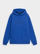 Джемпер 4F SWEATSHIRT M119 RL9SS22TSWSM119-36S р.M синий