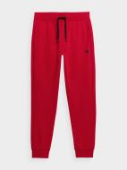 Брюки 4F TROUSERS CAS M223 4FSS23TTROM223-62S р. S красный