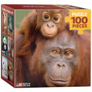 Пазл Eurographics Орангутанг с детенышем 8104-0638