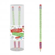 Карандаш-подсказка графитный Математика 7 класс 280544 1 вересня