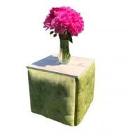 Пуф-трансформер 5 в 1 из велюра 490х490 мм зеленый (11-11о) Пуф-трансформер 5 в 1 из велюра 490х490 мм зеленый (11-11о)