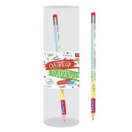 Карандаш-подсказка графитный Математика 8 класс 280545 1 вересня