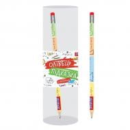 Карандаш-подсказка графитный Математика 9 класс с резинкой 280546 1 вересня