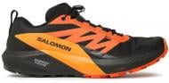 Кроссовки мужские демисезонные Salomon SENSE RIDE 5 GTX L47147300 р.45 1/3 черные