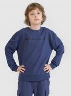 Свитшот 4F SWEATSHIRT M1513 4FJWSS25TSWSM1513-22S р.128 серый