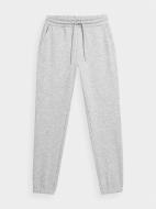 Брюки 4F TROUSERS CAS F336 4FMM00TTROF336-27M р. M серый
