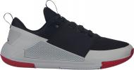 Кроссовки мужские Jordan DELTA SPEED AJ7984-006 р.45 красные