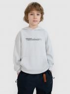 Джемпер 4F SWEATSHIRT M1511 4FJWSS25TSWSM1511-27S р.140 серый