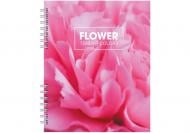 Блокнот Optima В5 спираль 60 лист. клетка O25931